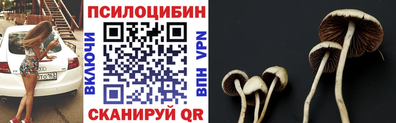 это Telegram Кемь Галлюциногенные грибы Magic Shrooms